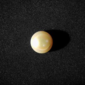 Pearl (मोती)